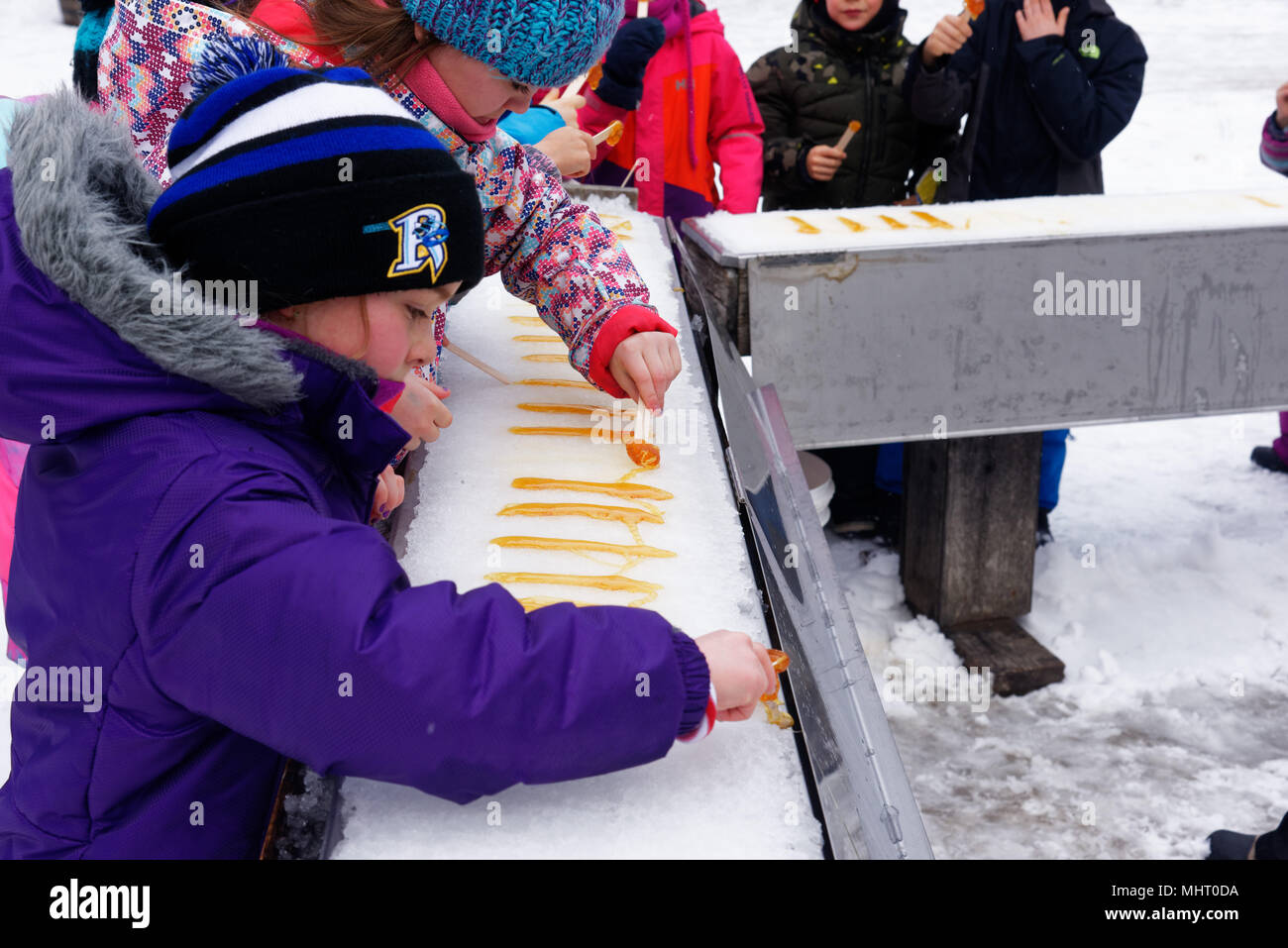 Children eating maple syrup taffy poured on ice at a sugar shack in Quebec, Canada Stock Photo