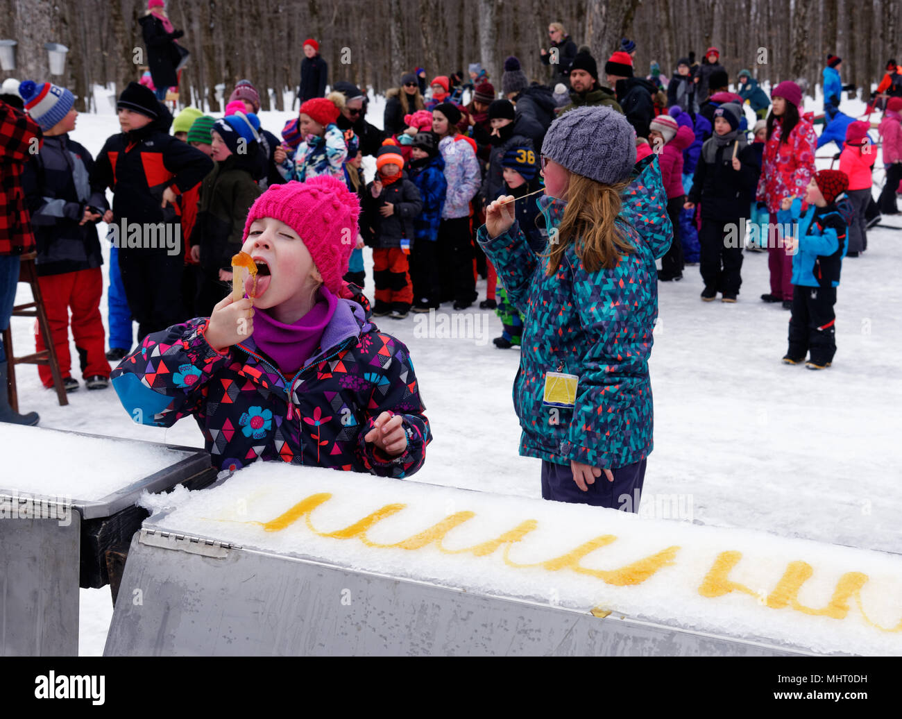 Children eating maple syrup taffy poured on ice at a sugar shack in Quebec, Canada Stock Photo