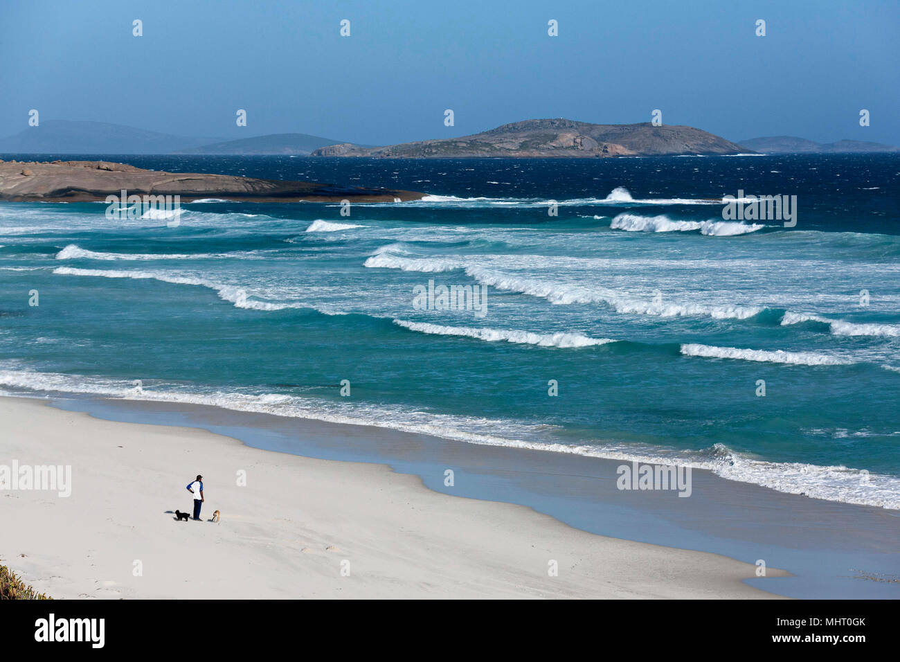 Man with dogs on beach, Esperance Western Australia Stock Photo