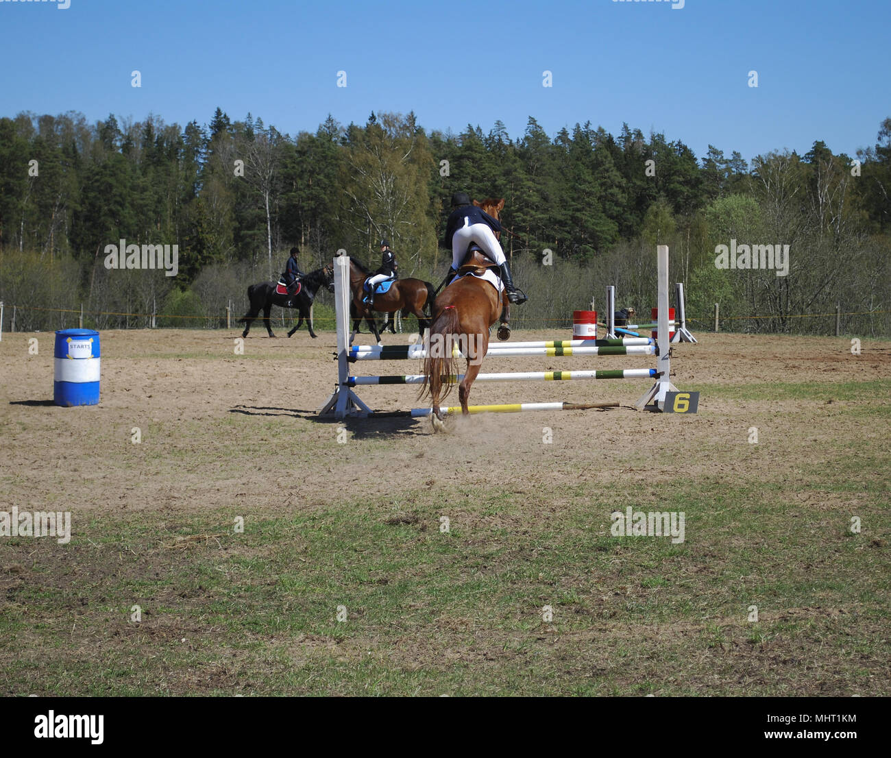 Horse jumps over hires stock photography and images Alamy
