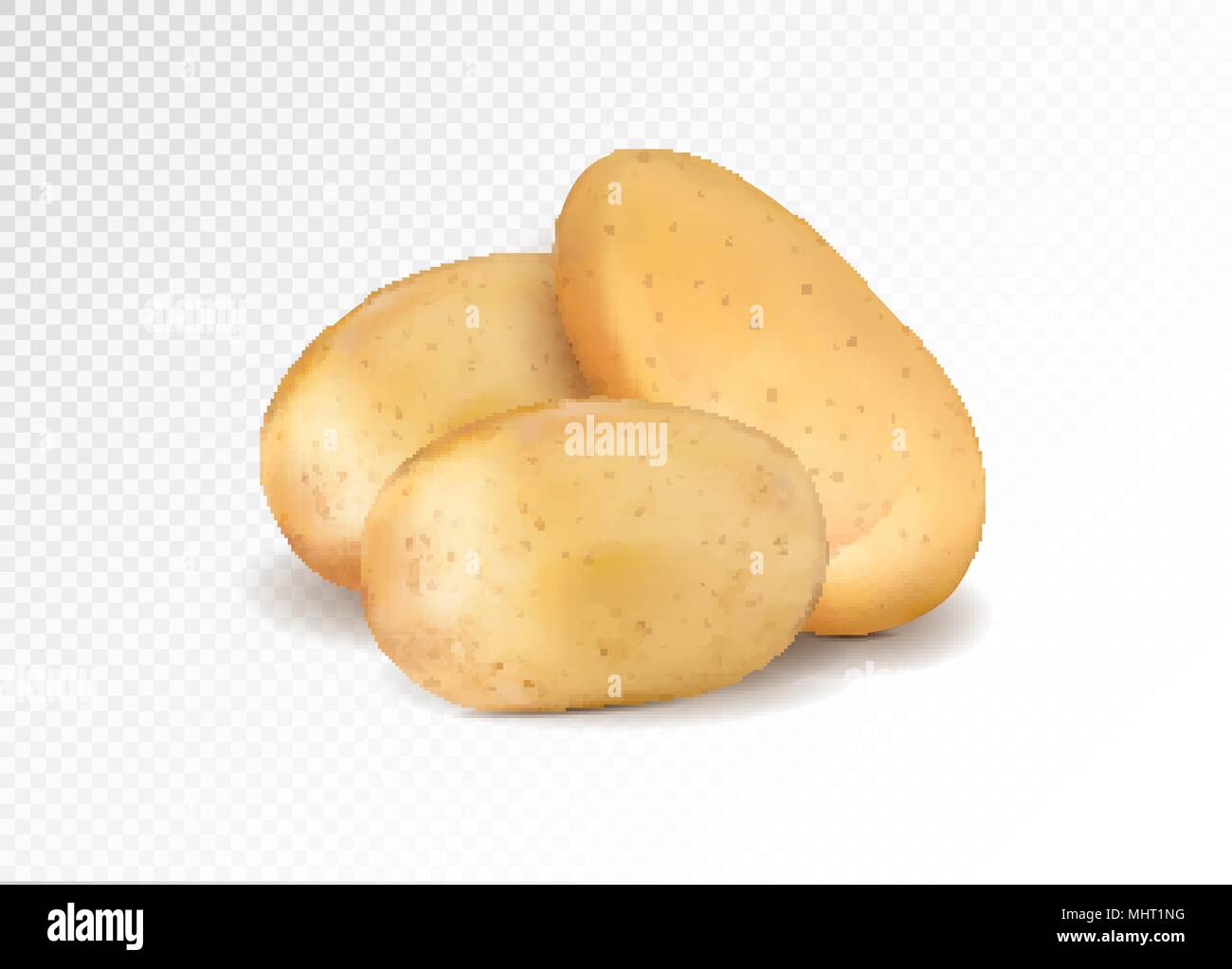 Realistic potato. Three potatoes grope. 3d vector eps10 Stock Vector