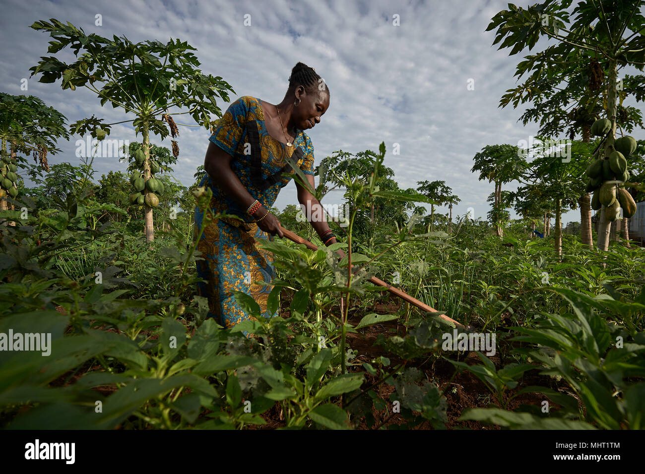 Cecilia Hetero works on a church-sponsored farm in Riimenze, South Sudan. Stock Photo