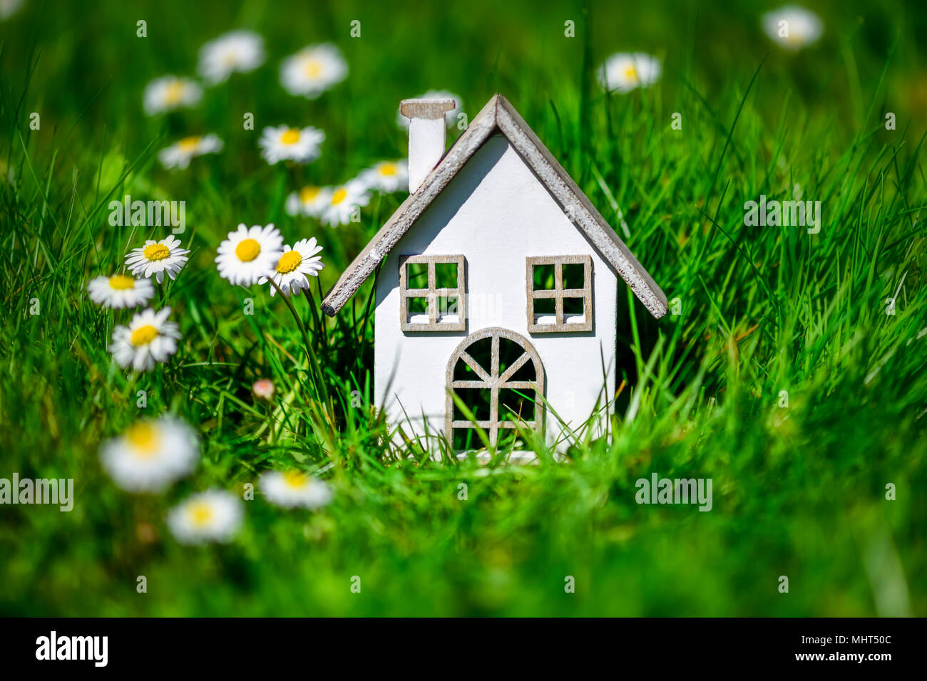 Miniature house in the grass Stock Photo - Alamy