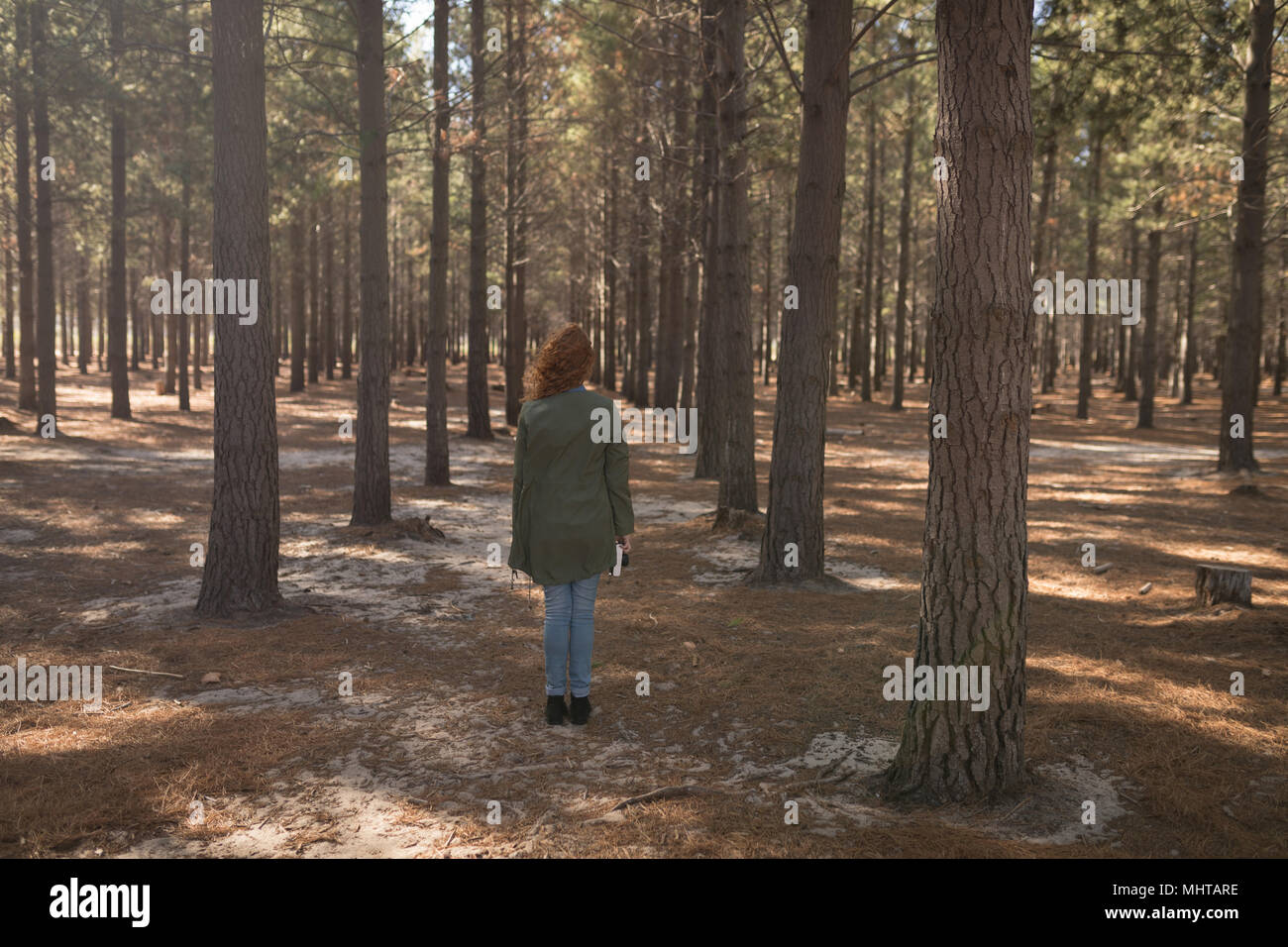 Woman standing forest path hi-res stock photography and images - Alamy