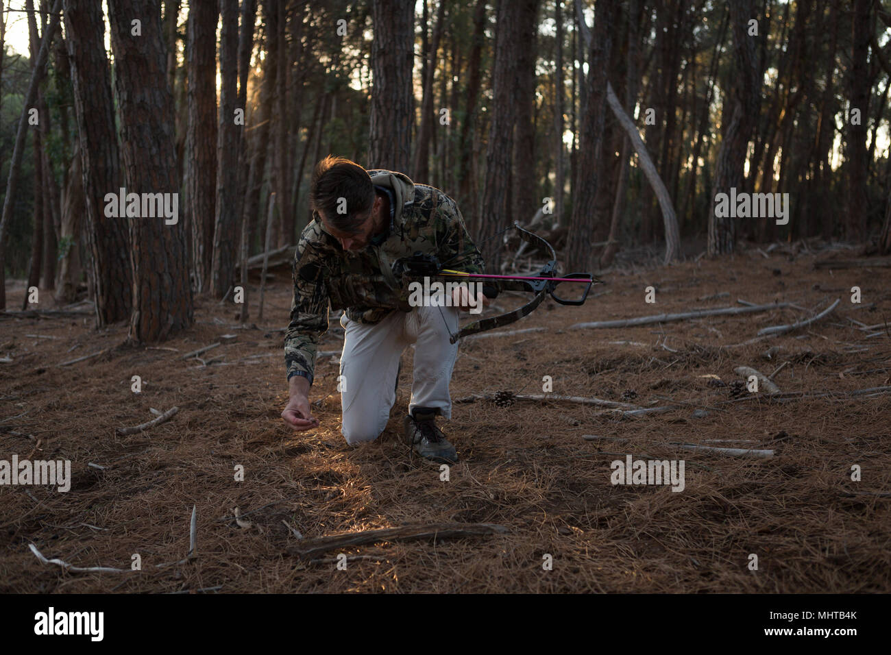 Man exploring in the forest Stock Photo