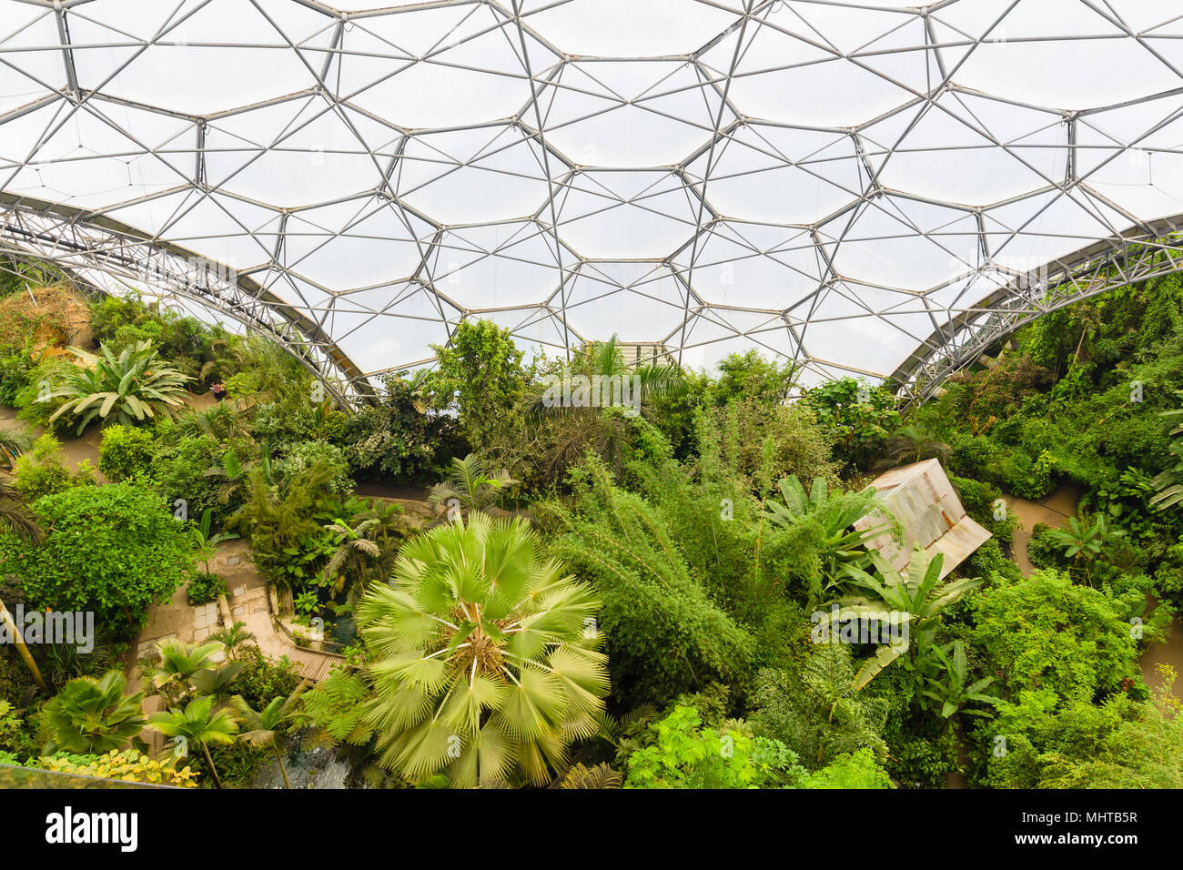The Eden Project looking down from the viewing platform in the rainforest biome. Stock Photo