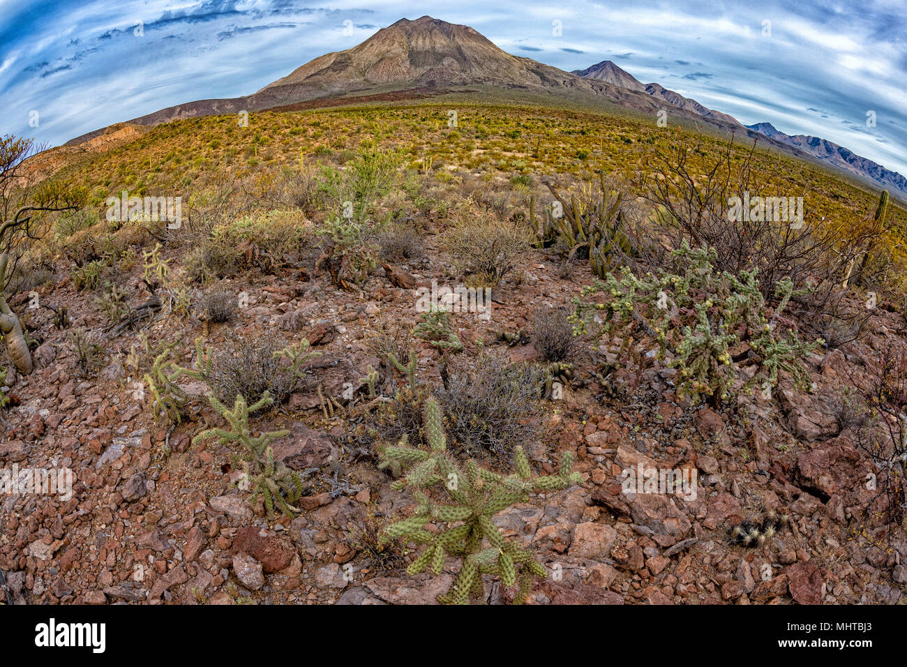 volcano Las Tres Virgenes Mexico Baja California Sur panorama Landscape