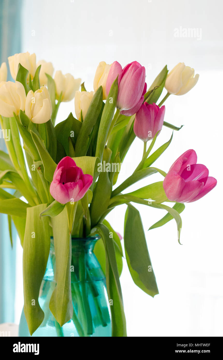 tiffany tulips