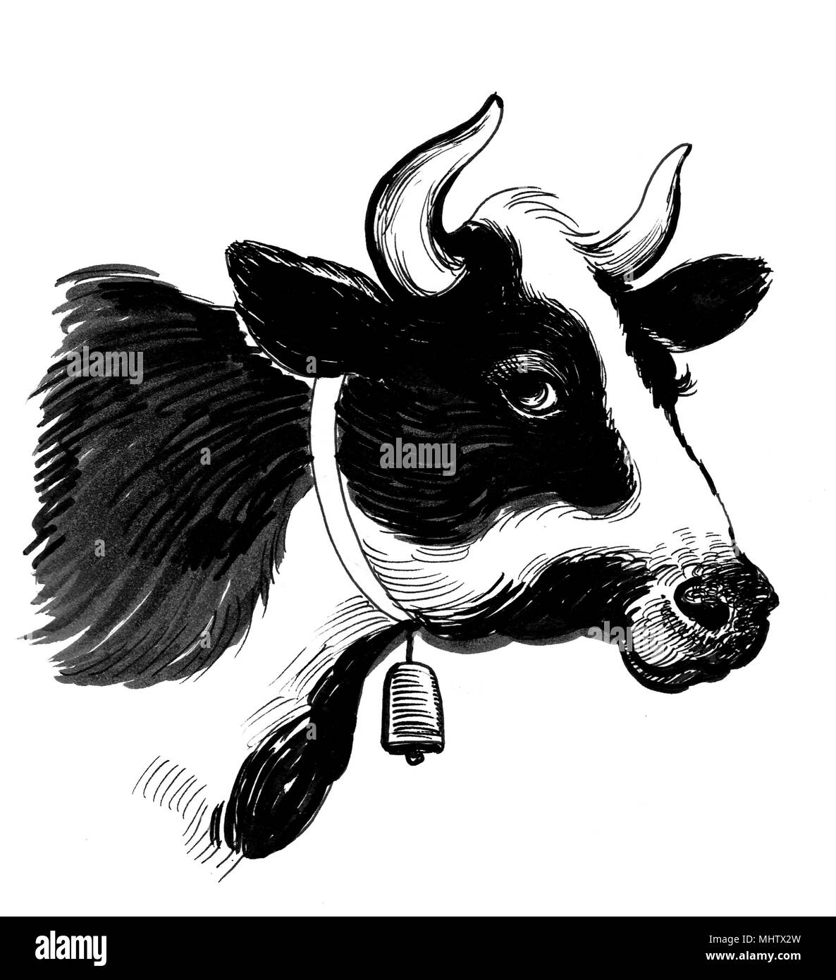 Cow's head. Ink black and white illustration Stock Photo Alamy