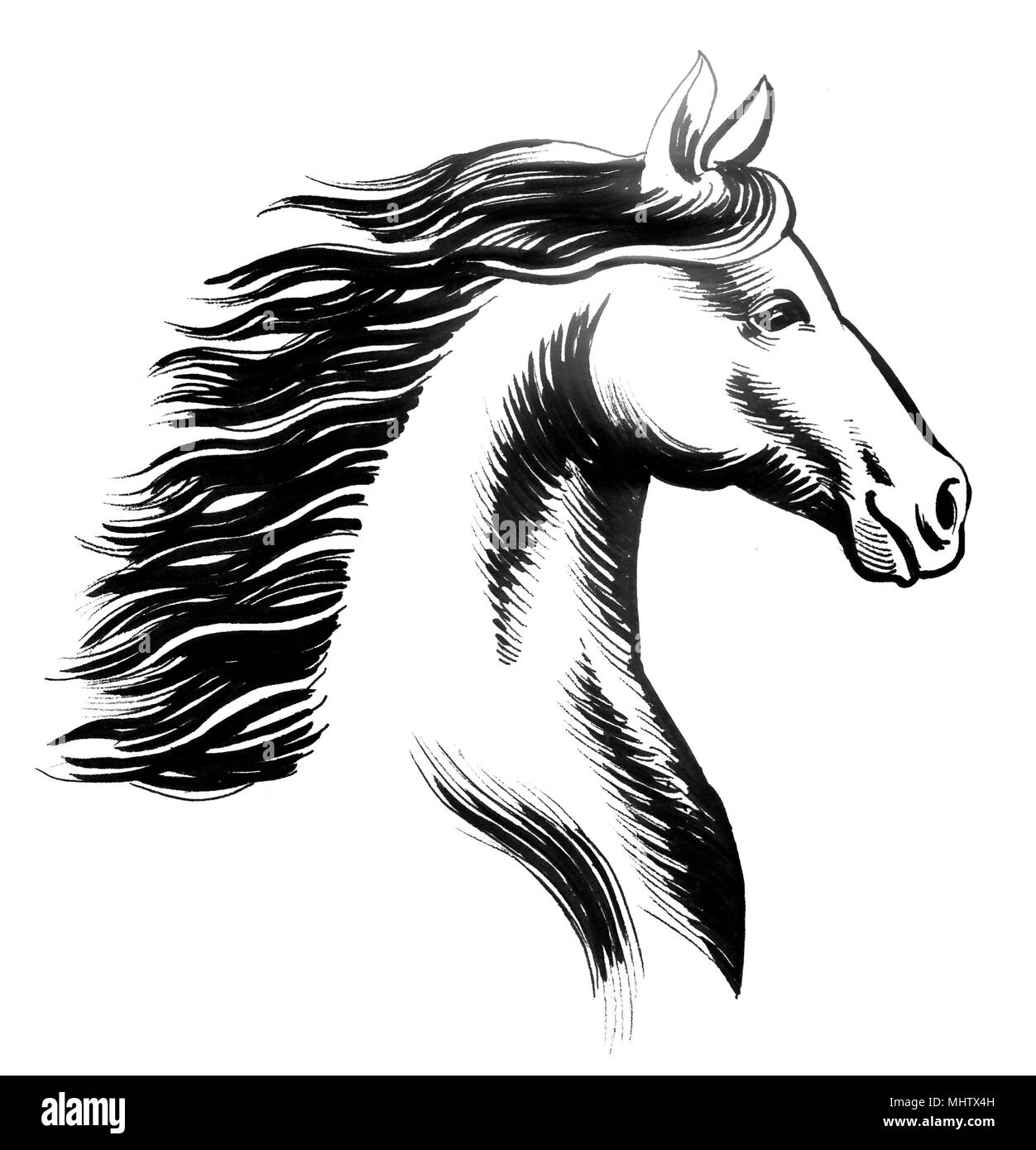 Black And White Horse Head Drawing