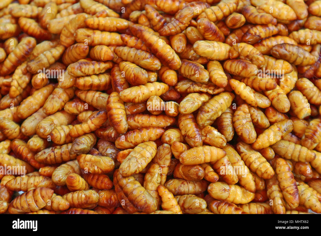 Fried Silk Worms Thailand Street Food Stock Photo Alamy