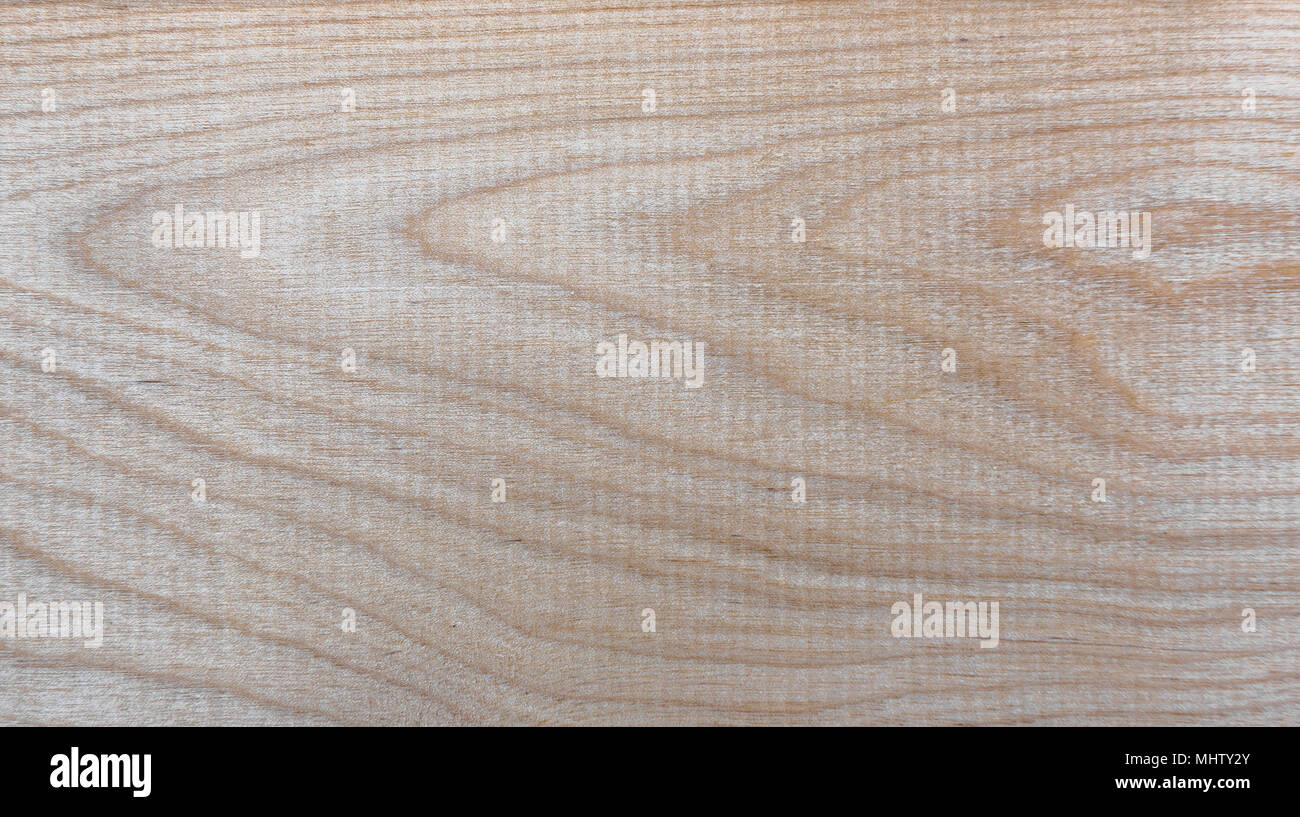 Natural Taiga birch wood grain texture pattern background Stock Photo