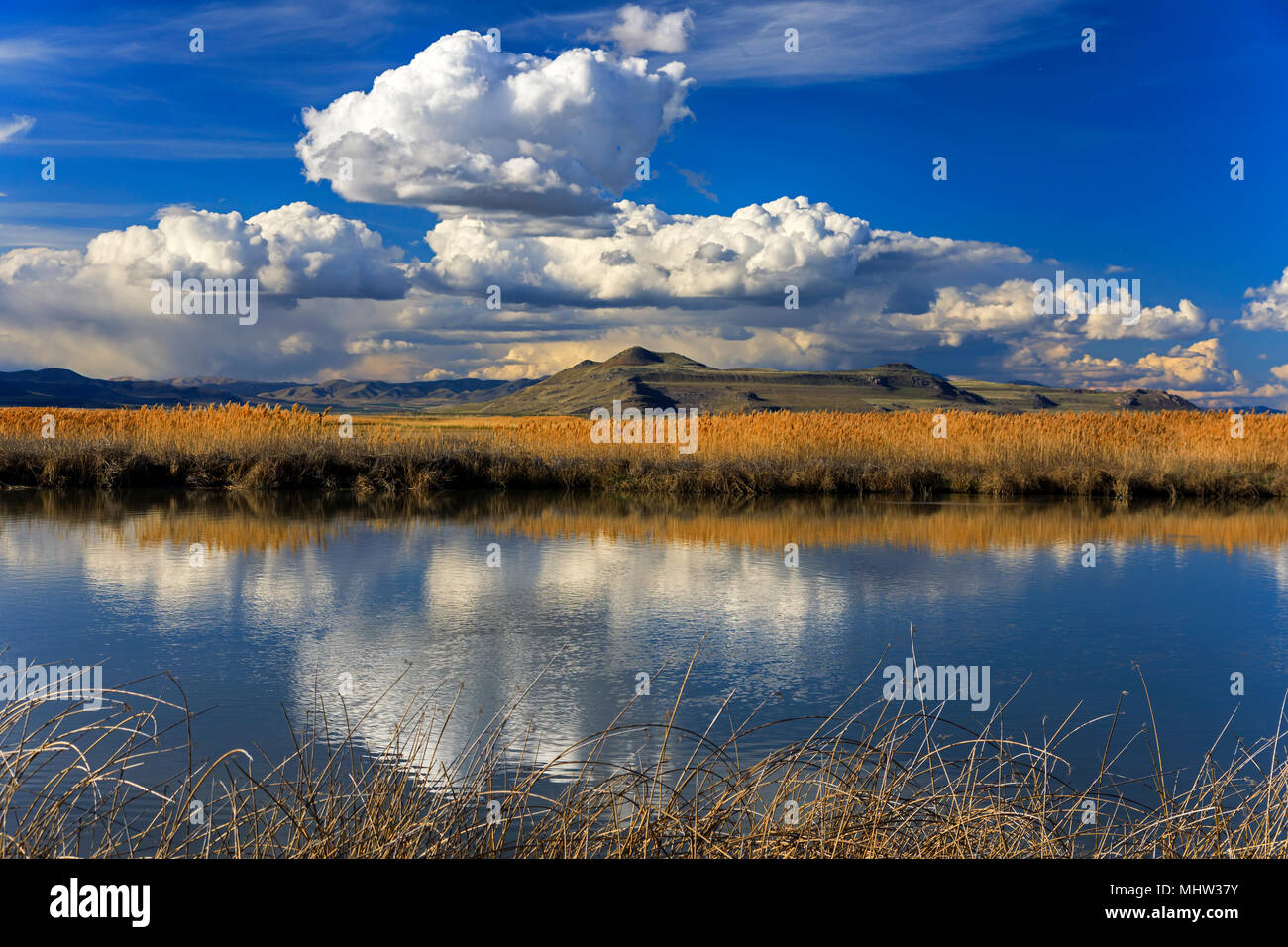 This is a view looking north toward Little Mountain from the Bear River