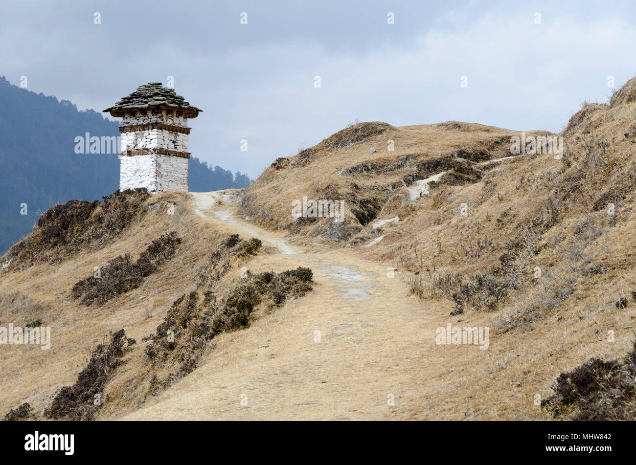 Mountain track with stupa, Phobjikha Valley, Wangdue Phodrang, Bhutan Stock Photo