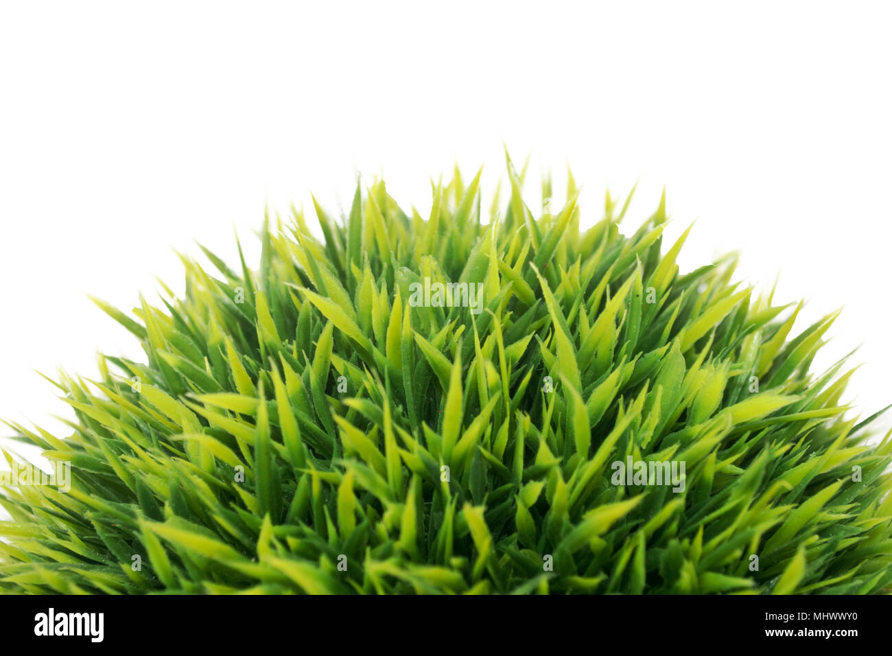 Green grass isolated on white background Stock Photo - Alamy