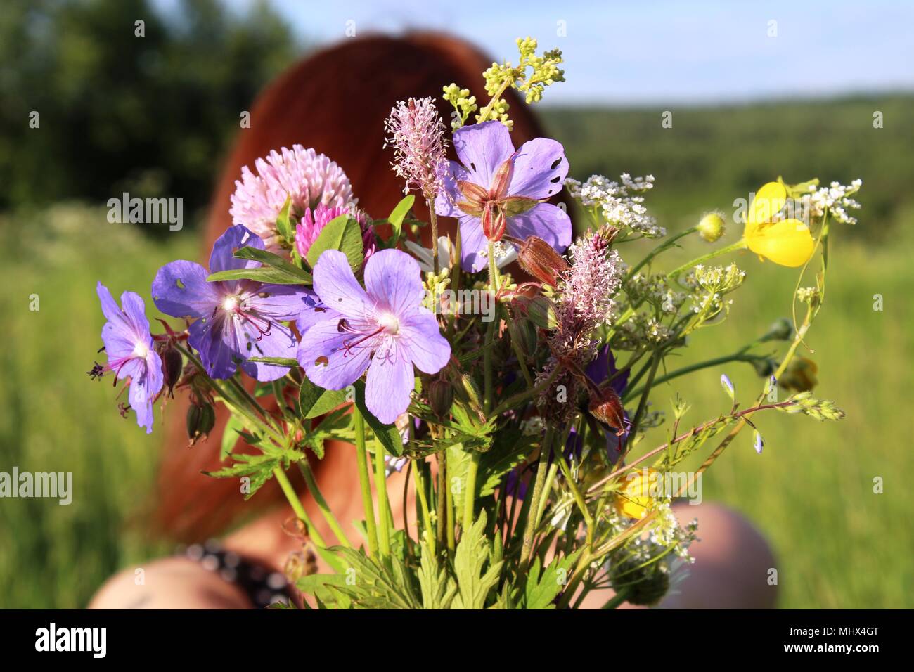 A bouquet of wild flowers in the girl's hands Stock Photo - Alamy