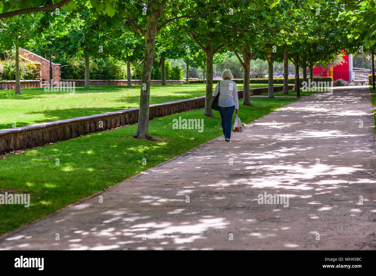 Lady carrying shopping walking down pathway under shady trees. Pleasant walk in park. Concept loneliness. Alone. Sad. Stock Photo