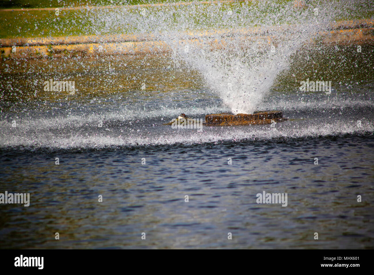 Water fountain in the park, water is frozen in time raining down on nesting bird Stock Photo