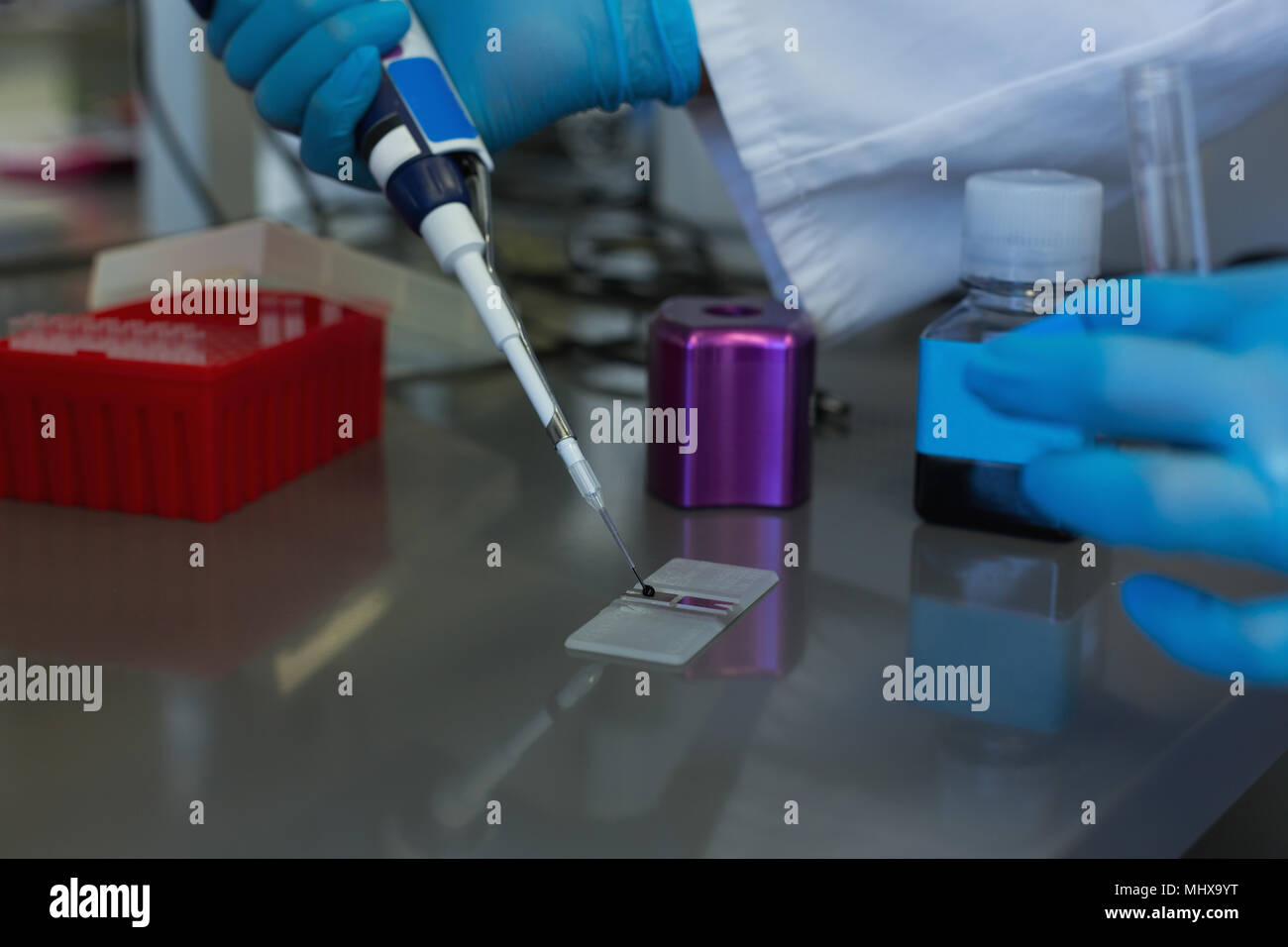 Scientist pipetting solution into the glass sheet Stock Photo