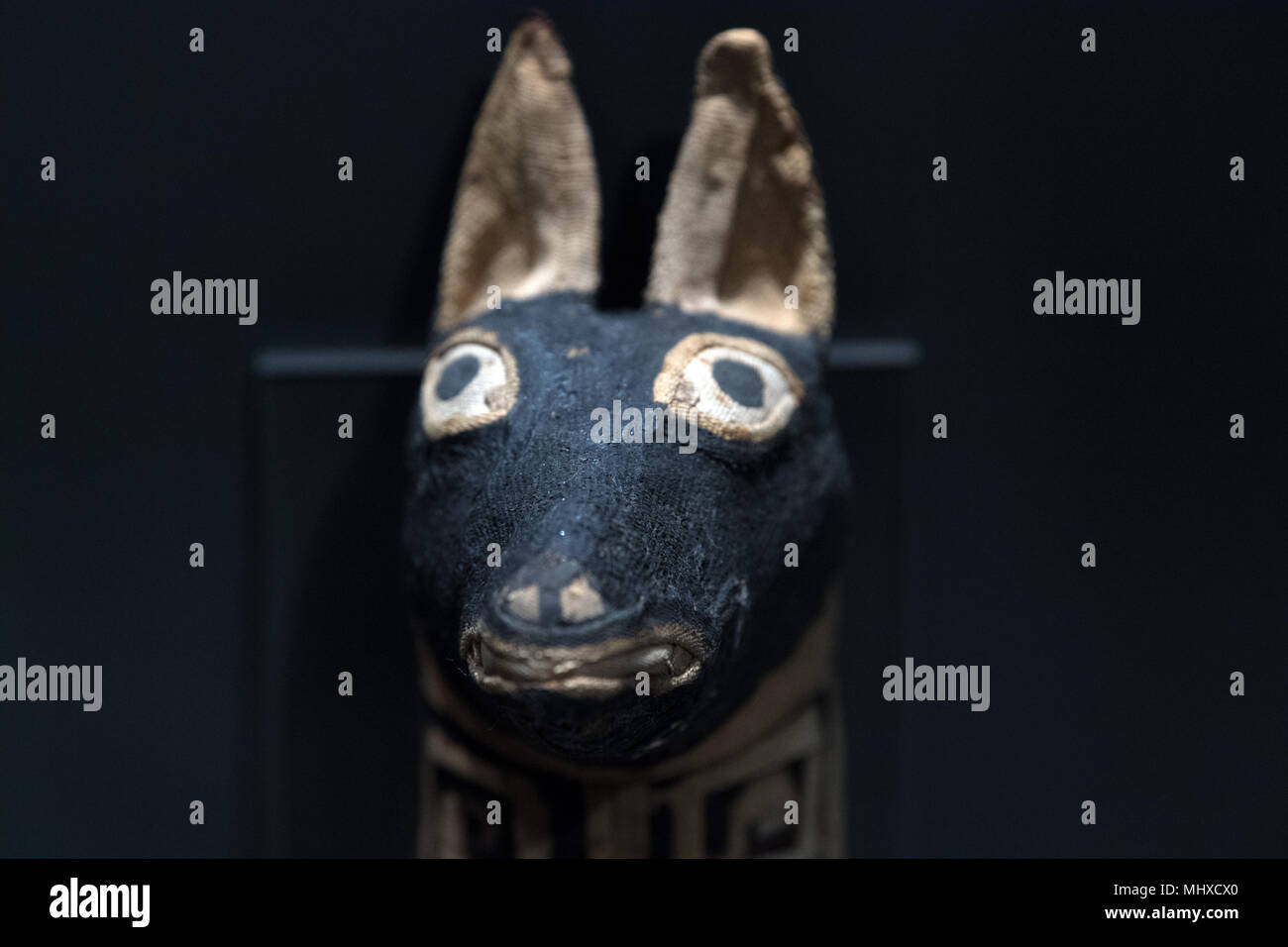 old egyptian mummy dog close up detail Stock Photo Alamy