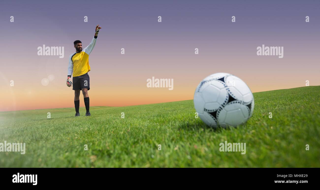 Goalkeeper soccer player and football on grass Stock Photo Alamy