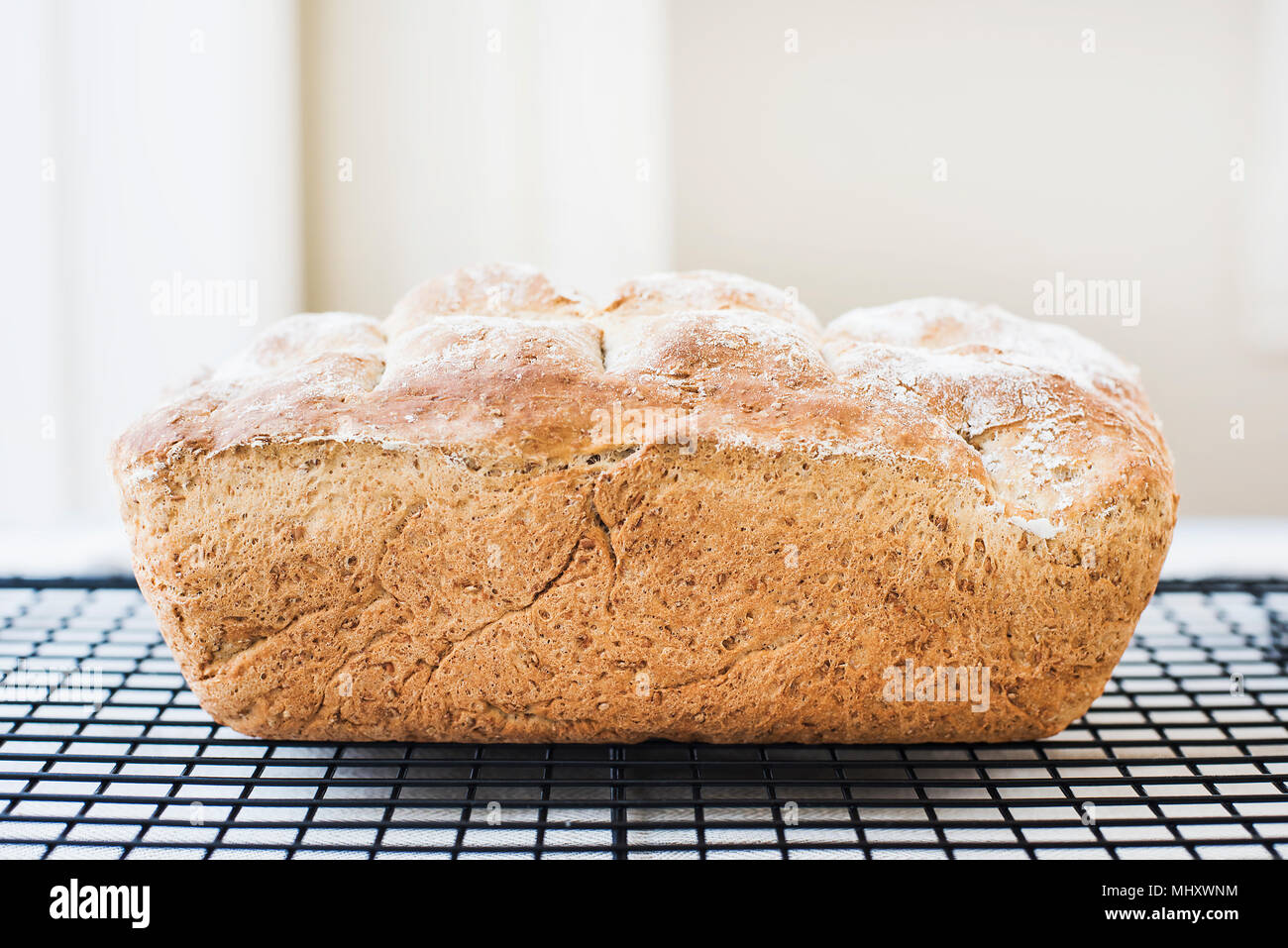 Freshly baked loaf of whole wheat bread on cooling rack Stock Photo