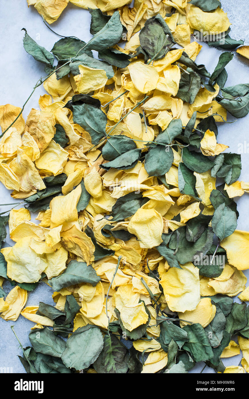 Rose petals and dry leaves Stock Photo