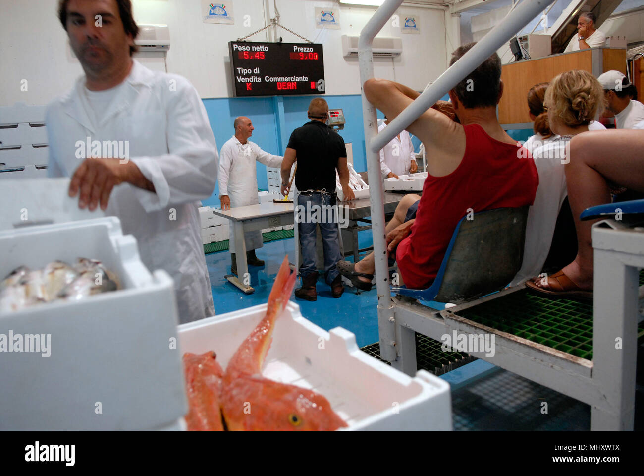 Anzio, Rome. Auctioning of fish in the harbour fishermen's cooperative.  Italy Stock Photo - Alamy