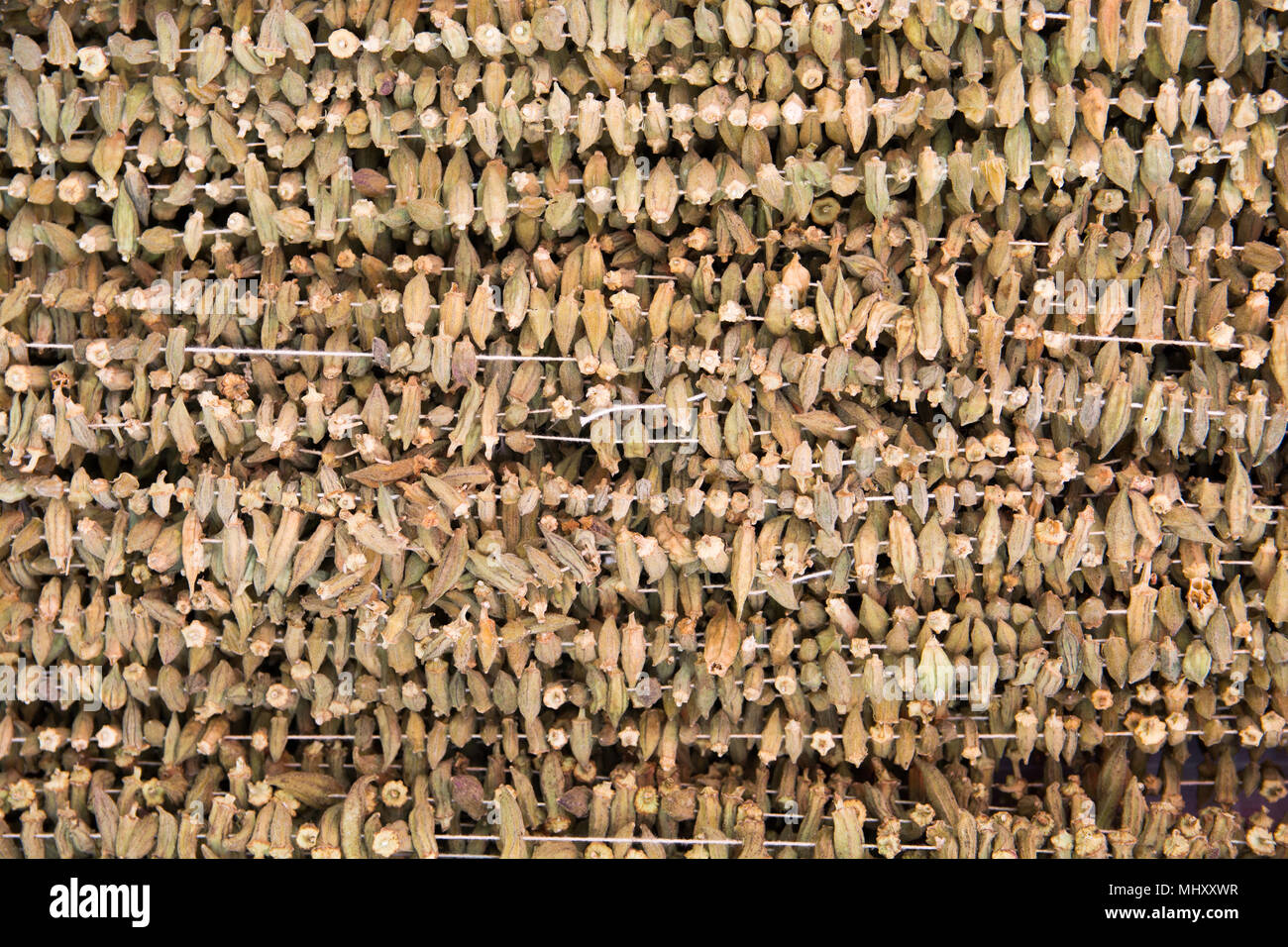 natural drying