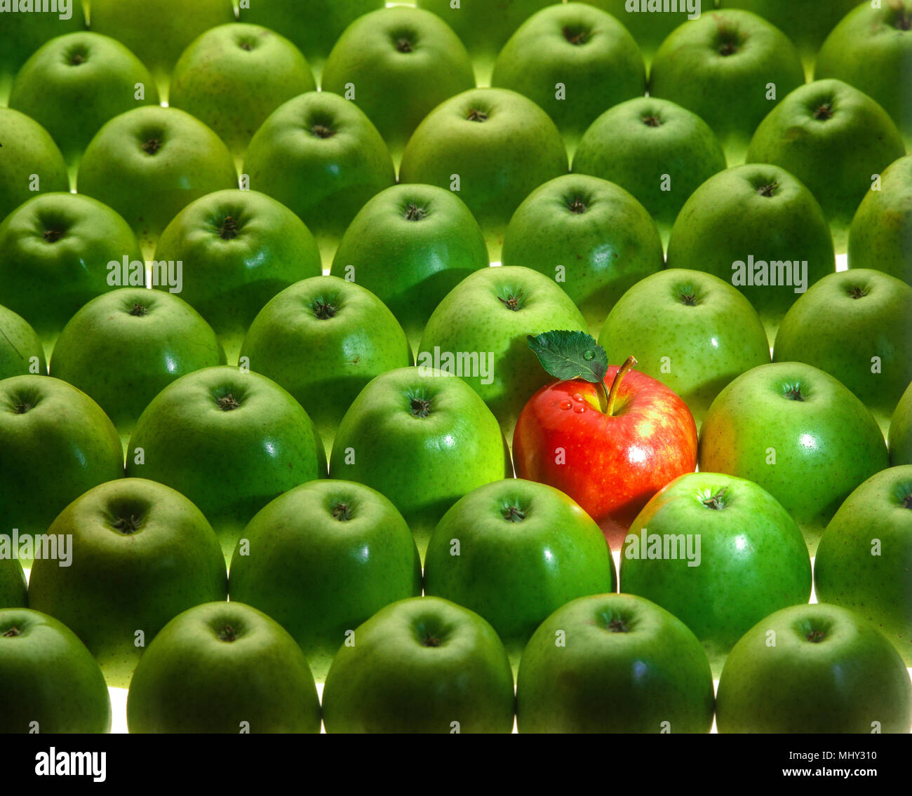 graphical arrangement of many green and one red apple Stock Photo - Alamy
