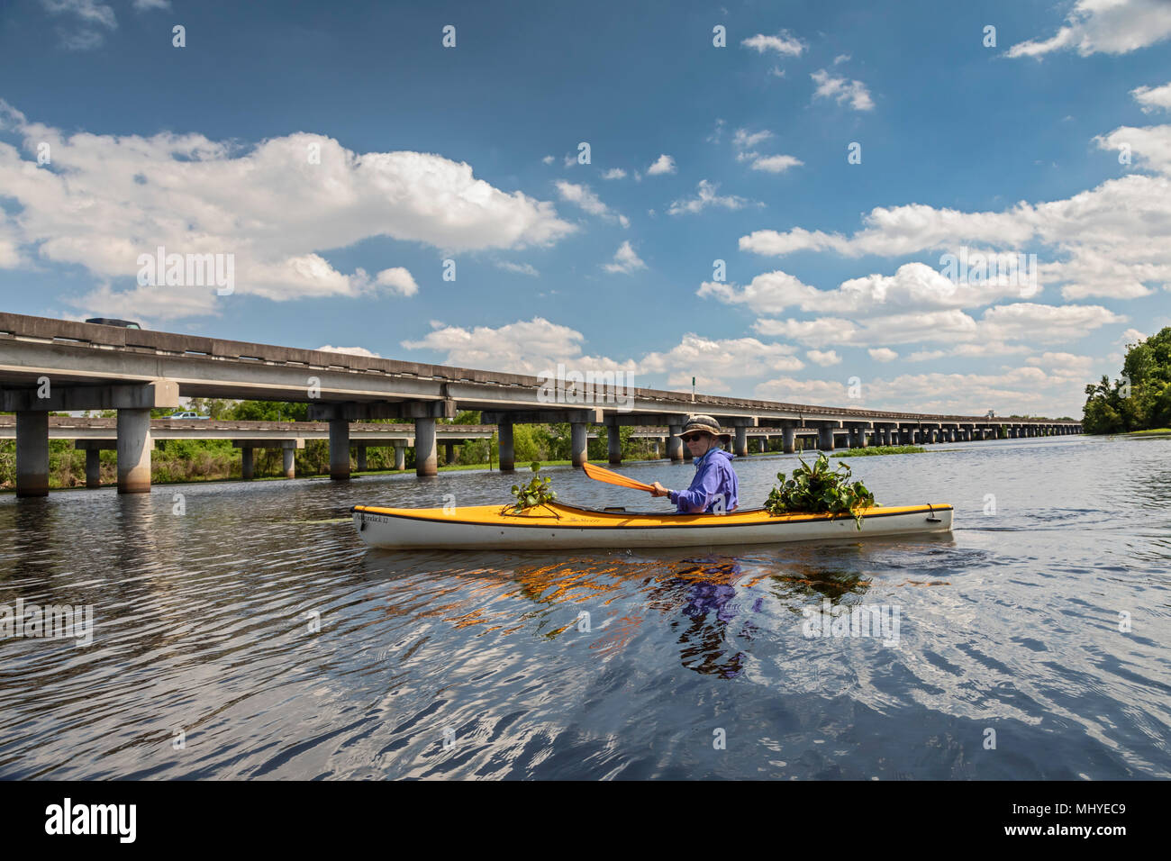 Laplace Louisiana Marie Gould Paddles Under Interstate 55 After Leading An Environmental Kayak Tour Of Shell Bank Bayou Near New Orleans Her Kayak Stock Photo Alamy Laplace Louisiana Marie Gould Paddles Under Interstate 55 After Leading An Environmental Kayak Tour Of Shell Bank Bayou Near New Orleans Her Kayak Stock Photo Alamy