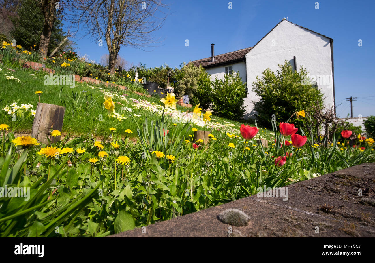 Sloping Garden High Resolution Stock Photography and Images - Alamy