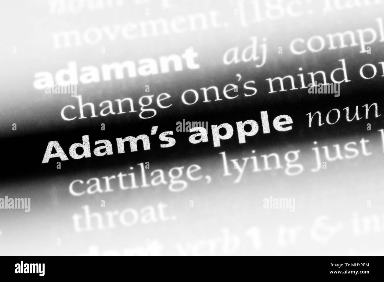 Adams Apple High Resolution Stock Photography and Images Alamy