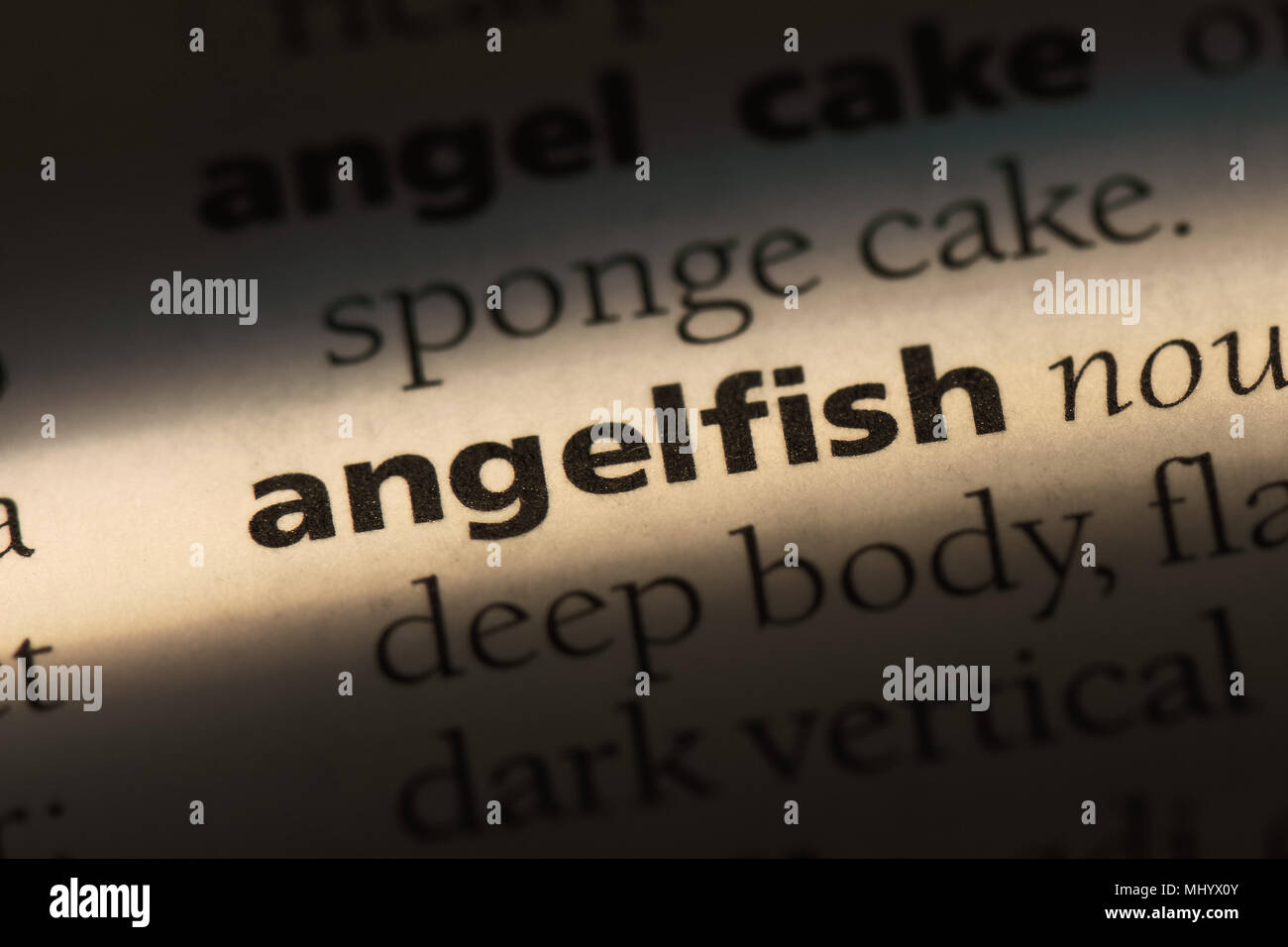 Angelfish isolated hi-res stock photography and images - Alamy
