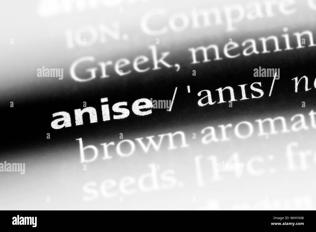anise word in a dictionary. anise concept Stock Photo Alamy