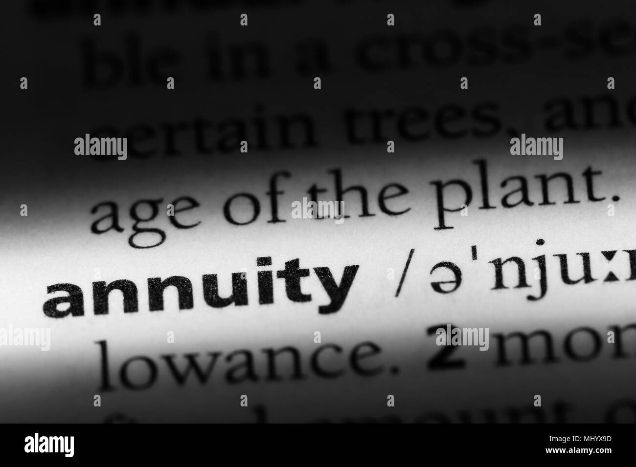 annuity word in a dictionary. annuity concept. Stock Photo