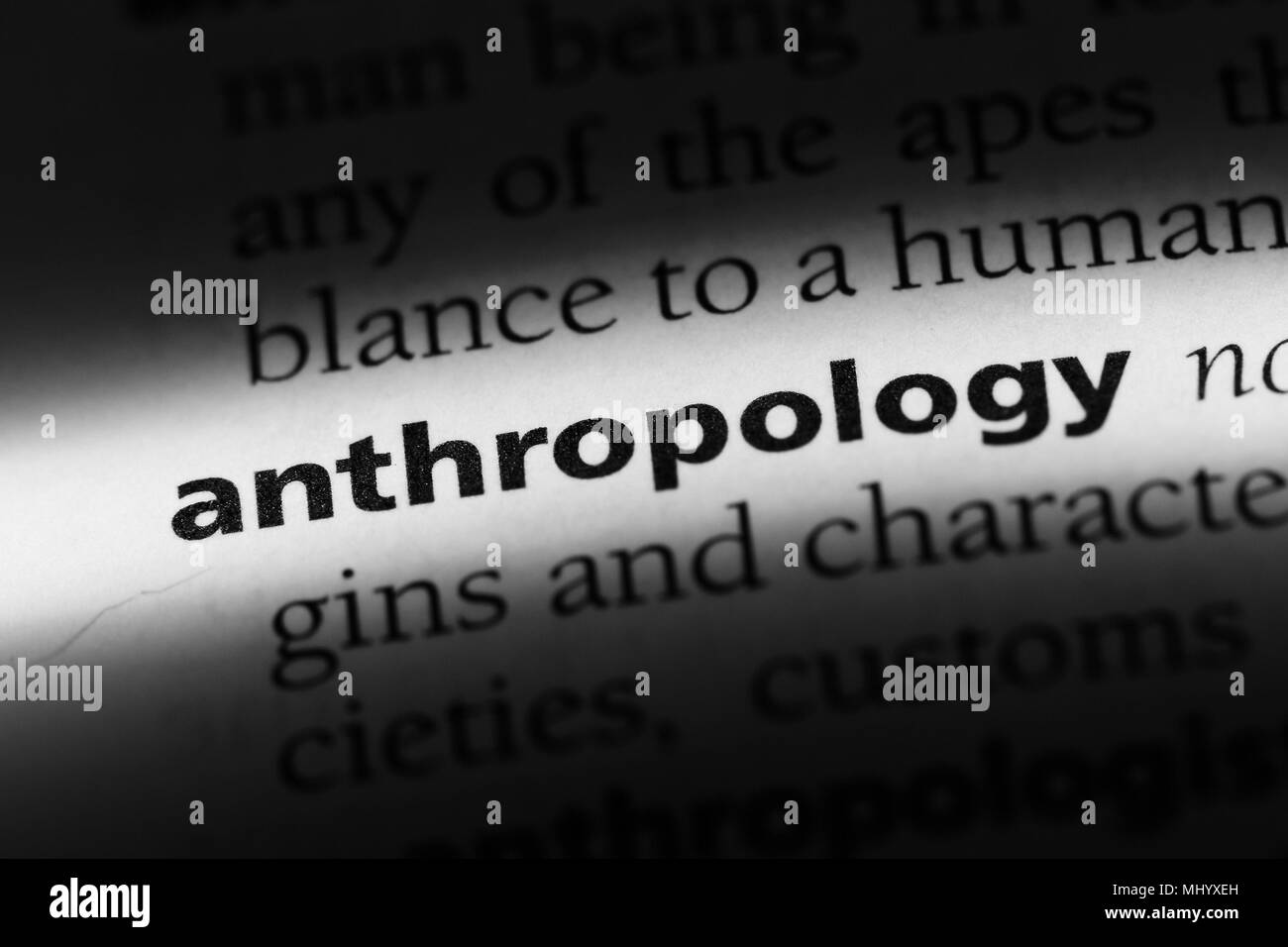 anthropology word in a dictionary. anthropology concept Stock Photo Alamy