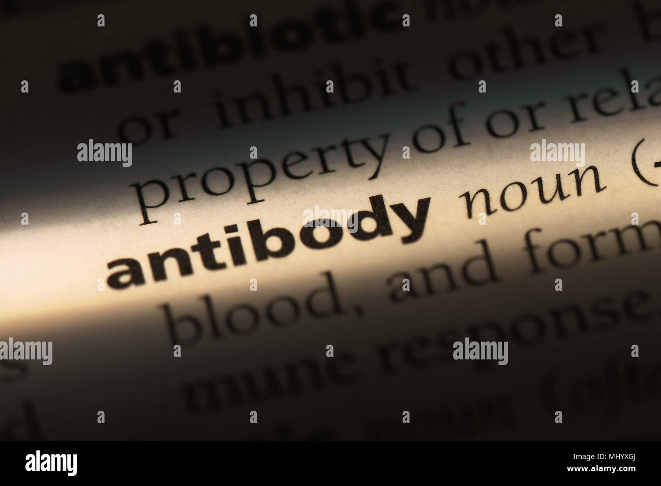 antibody word in a dictionary. antibody concept Stock Photo Alamy