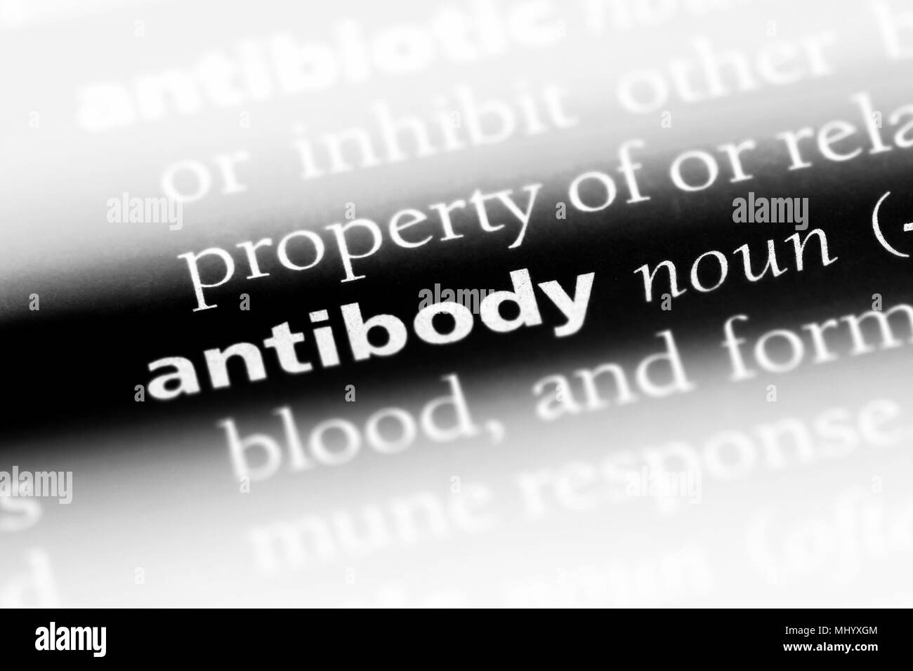 antibody word in a dictionary. antibody concept Stock Photo Alamy