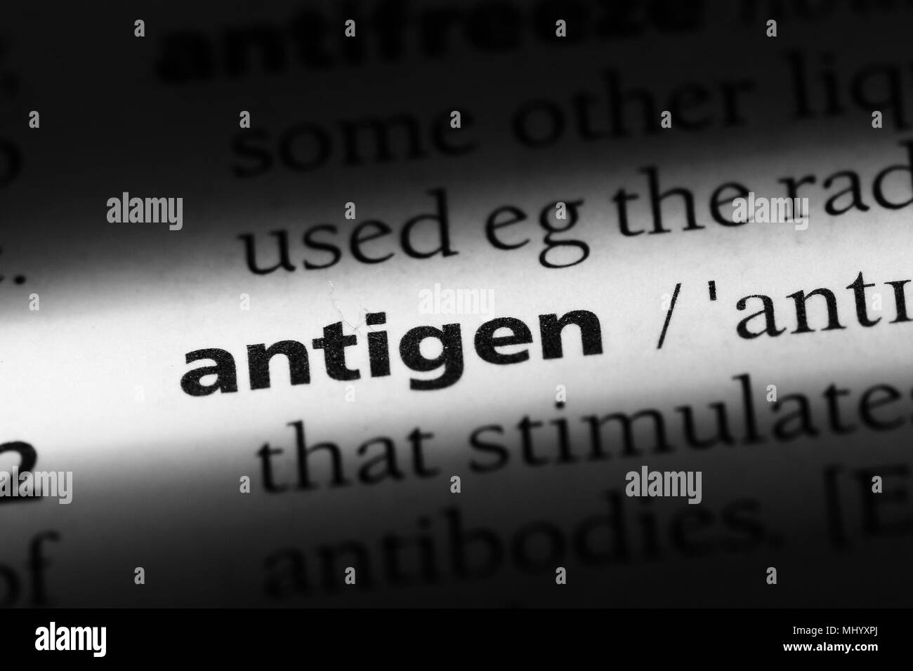 antigen word in a dictionary. antigen concept Stock Photo Alamy
