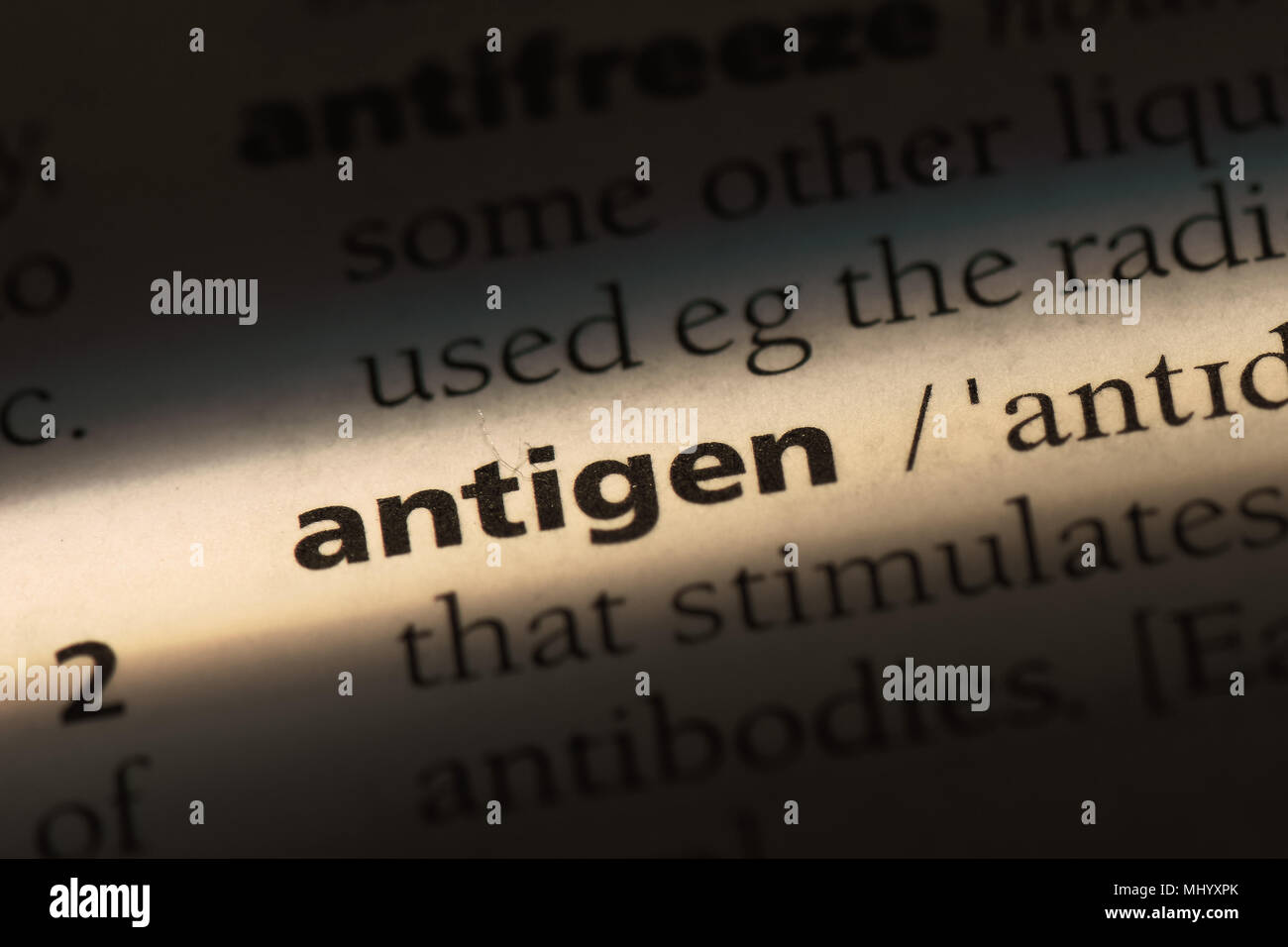 antigen word in a dictionary. antigen concept Stock Photo Alamy