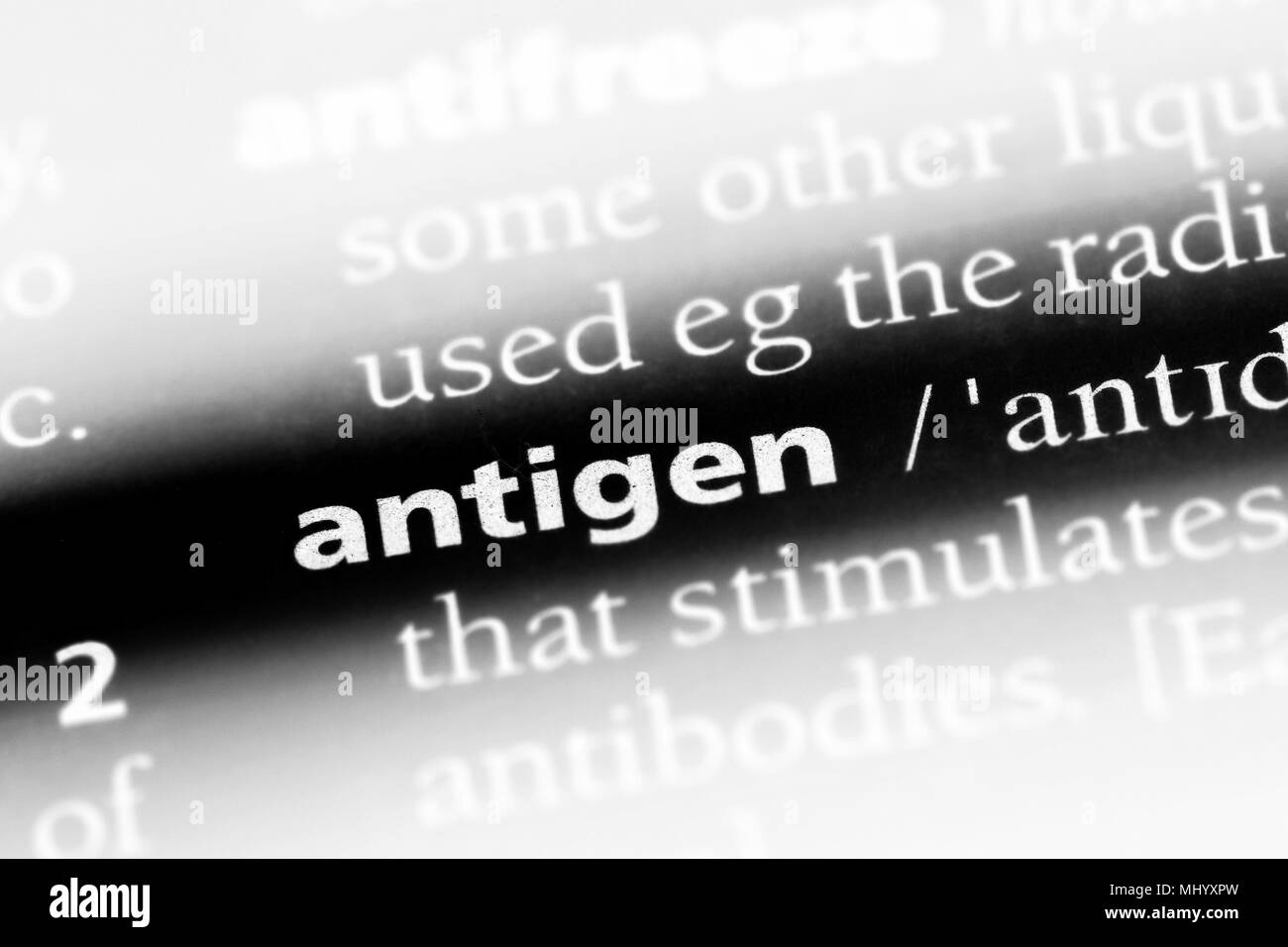 antigen word in a dictionary. antigen concept Stock Photo Alamy