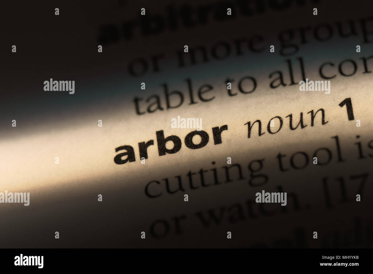 arbor word in a dictionary. arbor concept Stock Photo Alamy