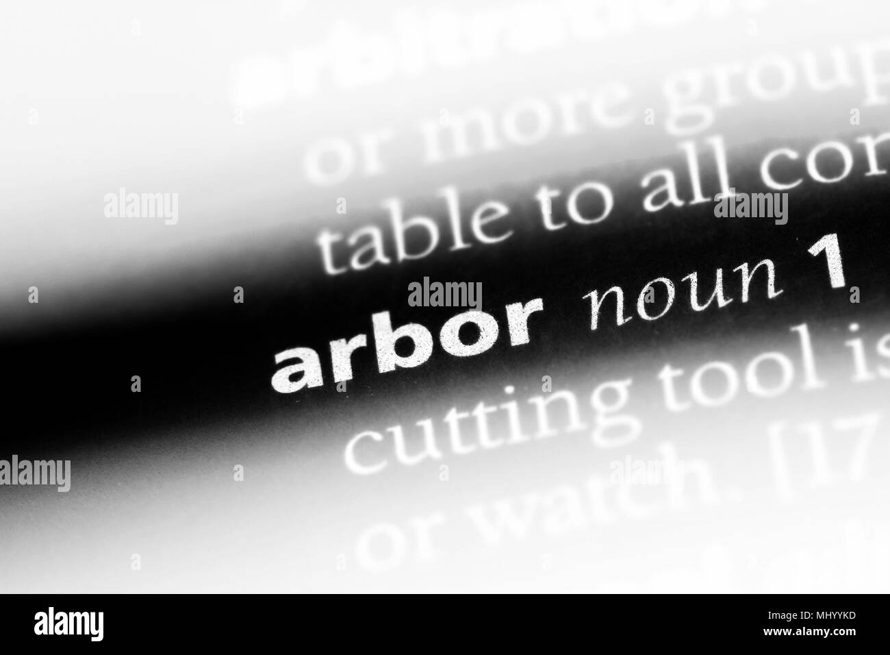 arbor word in a dictionary. arbor concept Stock Photo Alamy