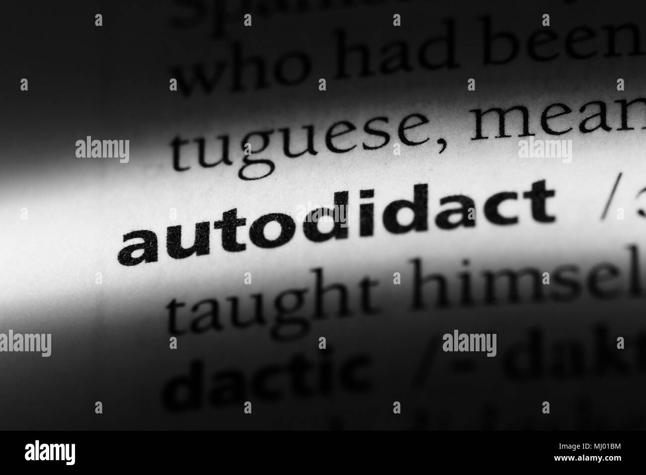 autodidact word in a dictionary. autodidact concept Stock Photo Alamy