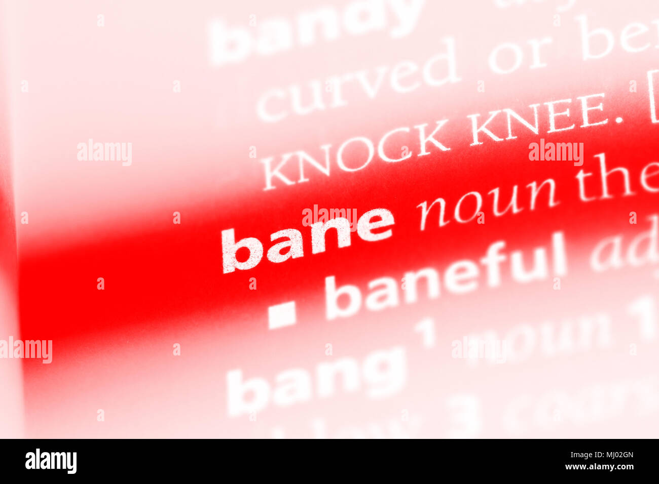 bane word in a dictionary. bane concept Stock Photo Alamy