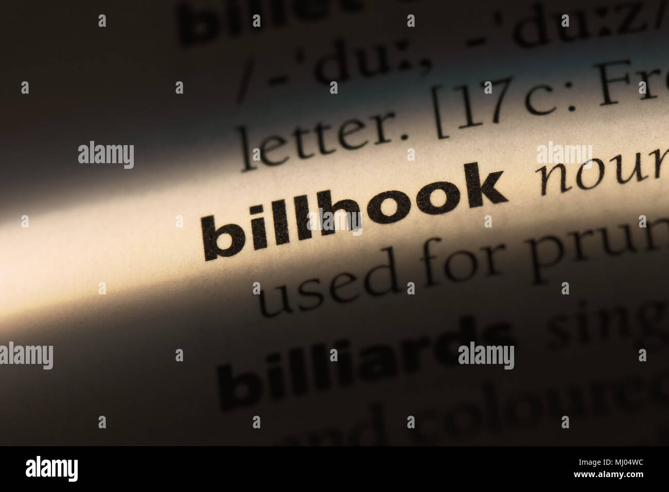 billhook word in a dictionary. billhook concept. Stock Photo
