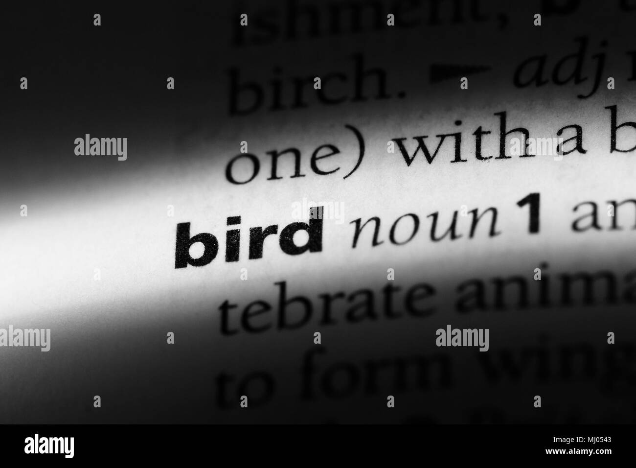 bird word in a dictionary. bird concept Stock Photo - Alamy