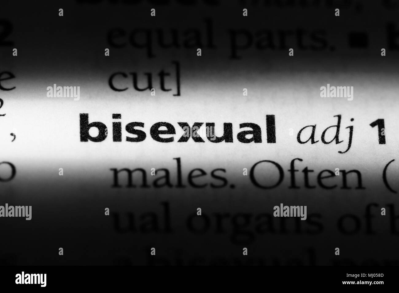 L word season 6 bisexual transvetsite