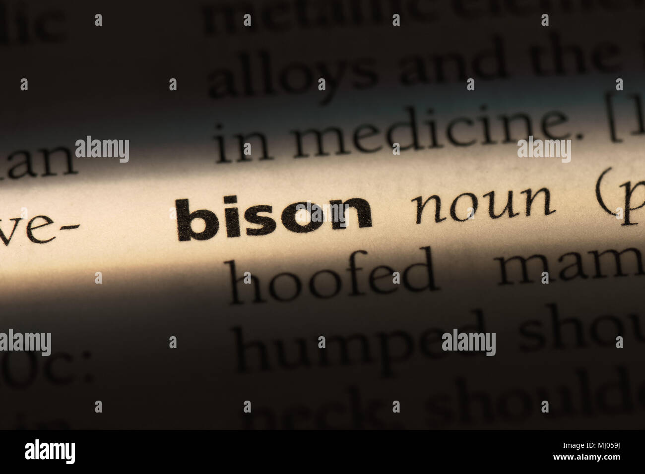 bison word in a dictionary. bison concept Stock Photo Alamy